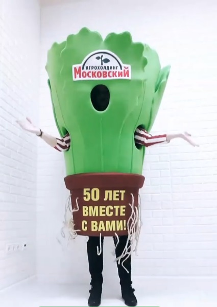 Ростовая кукла Салат в горшке