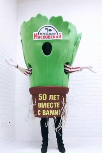 Ростовая кукла Салат в горшке