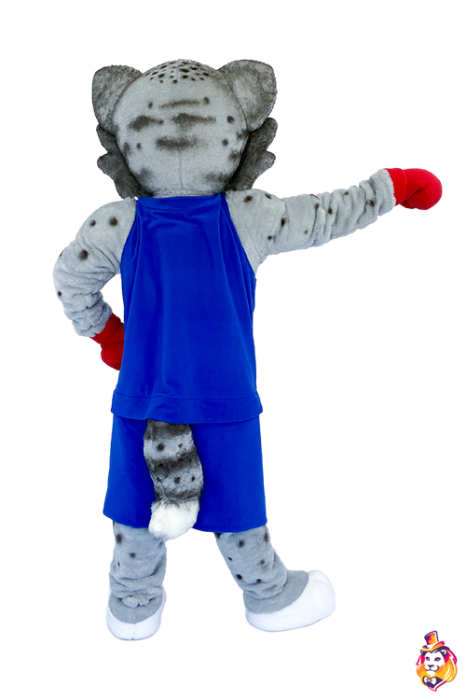 Костюм спортивный Бокс